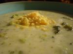 Canadian Homestyle Cream of Broccoli Soup Appetizer