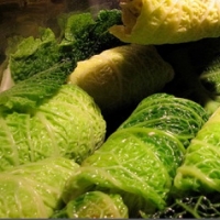 Serbian Cabbage Rolls Dinner