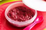 Canadian Berry And Apple Puree age  Months Recipe Appetizer