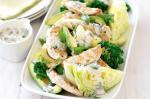 Canadian Chunky Chicken Caesarstyle Salad Recipe Appetizer