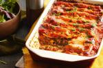 American Pork And Mushroom Cannelloni Recipe Appetizer