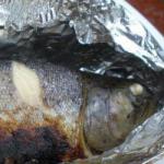 American Trout in Foil with Sorrel Dinner
