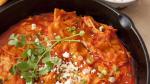 Chilean Red Chile Chicken Chilaquiles Appetizer