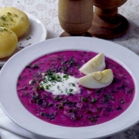 Lithuanian Saltibarscai Soup
