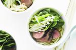 Udon Noodles With Teriyaki Steak And Spinach Recipe recipe