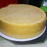 American Sponge Cake Easy of Vanilla Dessert