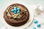 American Easter Chocolate Cake Recipe Dessert