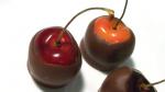 Canadian Chocolate Dipped Bing Cherries Recipe Dessert