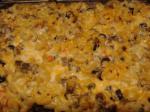 American Cheesy Beef and Macaroni With Thyme Appetizer