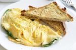 American Omelette Recipe 10 Breakfast