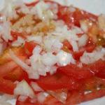 Italian Salad with Tomato and Onions Appetizer