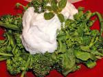 American Broccolini With Creamy Lemon Sauce Appetizer