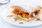 American Apricot And Almond Pastries Recipe Dessert