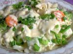 American Ww Country Garden Alfredo Appetizer