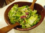 American Low Carb Bestever Green Salad Appetizer