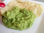 Mexican Authentic Mexican Guacamole Appetizer