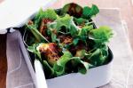 American Haloumi And Mixed Green Salad With Harissa Dressing Recipe Appetizer