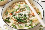 Canadian Risotto Primavera Recipe 1 Appetizer