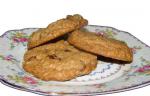 American Clementines Oatmeal Chocolate Chip Cookies 5 Dessert
