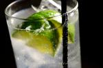 Canadian Tequila and Tonic Recipe Appetizer