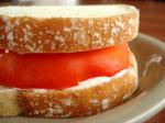 American Simple Tomato Sandwich Appetizer