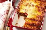 American Beef And Ricotta Cannelloni Recipe Appetizer