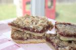 Canadian Raspberry Bar Cookies 1 Appetizer