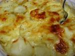 American Lightened Scalloped Potatoes With Cheese Dinner