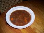 Winter Lamb Soup  Crock Pot recipe