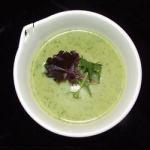 Polish Zucchini Cream Soup Appetizer