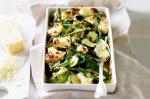 American Spring Vegetable Bake With Cheddar And Parmesan Sauce Recipe Appetizer