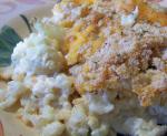 American Copes Cauliflower Casserole Dinner