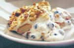 American Blueberry Hazelnut Tiramisu Recipe Appetizer