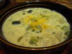 Mexican Merms Potato Cheese Soup With Green Chilies Appetizer