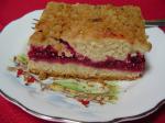 American Raspberry Crumb Cake 1 Dessert