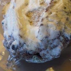 American Glutenfree Christmas Stollen Dessert