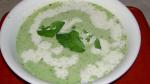 American Green Pea and Mint Soup Recipe Appetizer