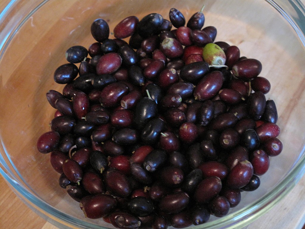 Moroccan Saltcured Olives Appetizer