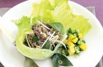 American Larb With Spicy Mango Salsa Recipe Appetizer