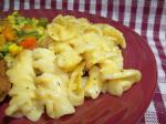 American Campbells Macaroni and Cheese Dinner