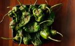 Spanish Grilled Padron Peppers Recipe BBQ Grill