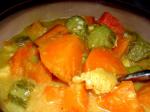 American Chicken and Sweetpotato Curry Appetizer