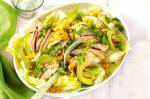 American Lime And Chilli Chicken Salad Recipe Appetizer