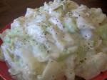 American Creamed Cabbage Norwegian Style Appetizer