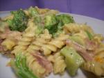 American Ham and Cheese Pasta Skillet Dinner