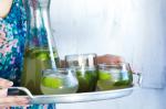 American Lime And Ginger Fizz Recipe Appetizer