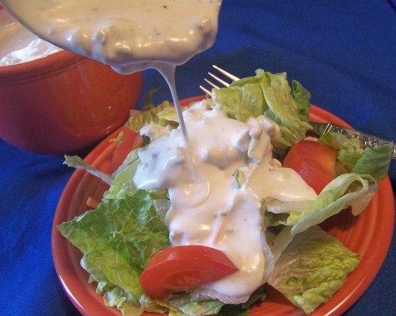 American Blue Cheese Dressing 44 Appetizer