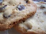 American Oldfashioned Peanut Butter Chocolate Chip Cookies Dessert