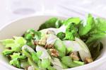 American Celery Rocket And Pear Salad With Blue Cheese Dressing Recipe Appetizer