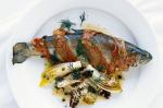 American Trout Baked With Witlof Recipe Appetizer